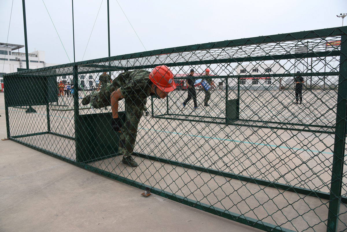 DSC_4204.jpg DSC_4204.jpg